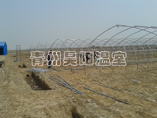 諸城建設中溫室